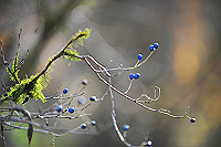 DSC_4995_thumb.jpg