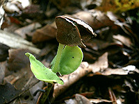 P6080076_thumb.jpg