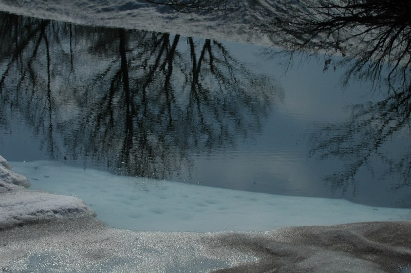 DSC_3026.jpg