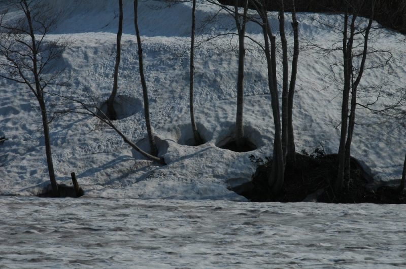DSC_3028.jpg