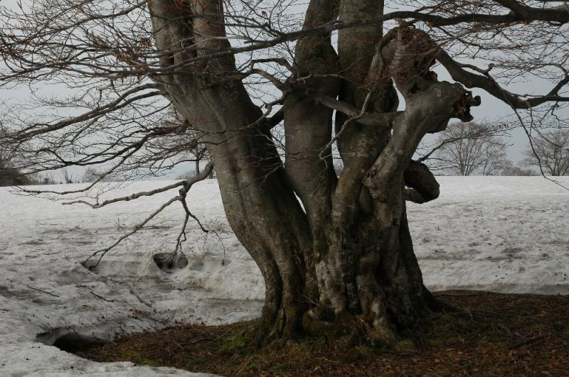 DSC_3080.jpg