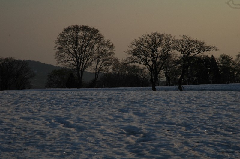 DSC_3134.jpg
