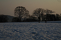 DSC_3134_thumb.jpg