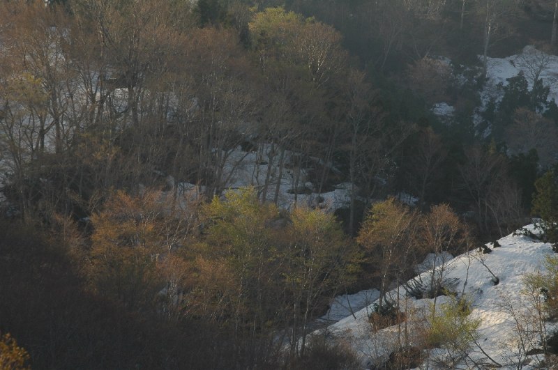 DSC_3160.jpg