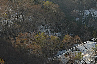 DSC_3160_thumb.jpg