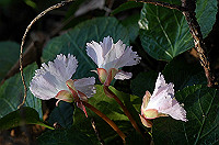 DSC_3273_thumb.jpg