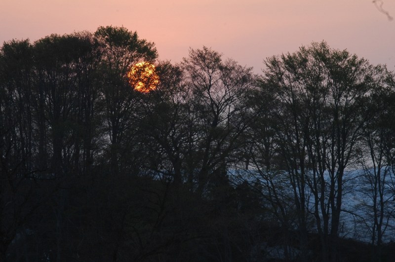 DSC_3312.jpg