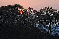DSC_3312_thumb.jpg