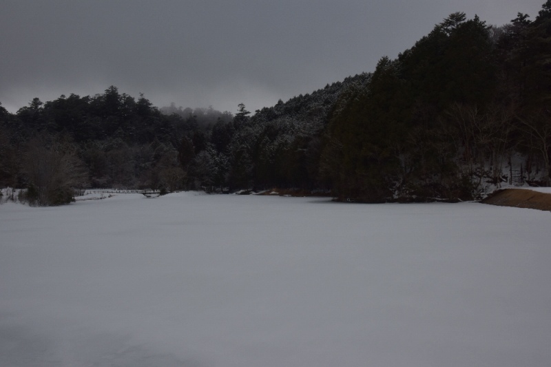 DSC_2774.jpg