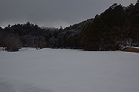 DSC_2774_thumb.jpg