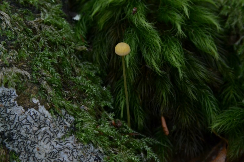DSC_3823.jpg