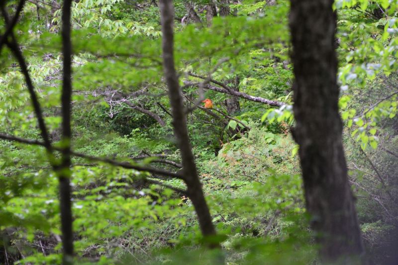 DSC_5606.jpg