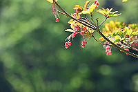 DSC_5649_thumb.jpg