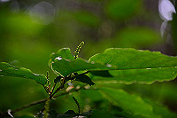 DSC_5994_thumb.jpg