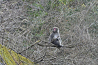 _DSC8314_thumb.jpg