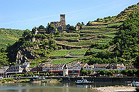 DSC_8142_thumb.jpg