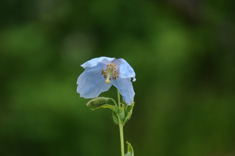 DSC_1235.jpg