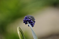 DSC_2928_thumb.jpg
