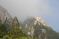 DSC_5645_thumb.jpg