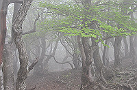 DSC_5824_thumb.jpg