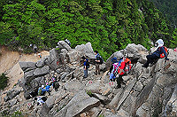 DSC_5881_thumb.jpg