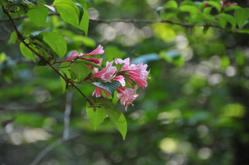 DSC_5939.jpg