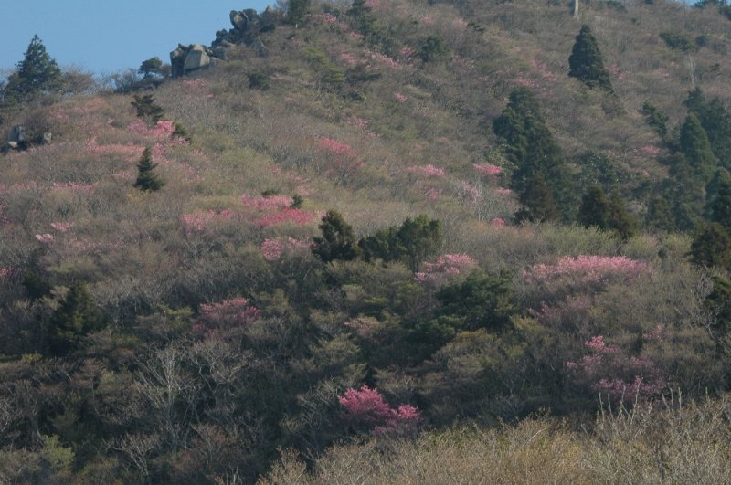 DSC_6895.jpg
