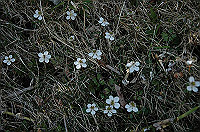 DSC_7007_thumb.jpg