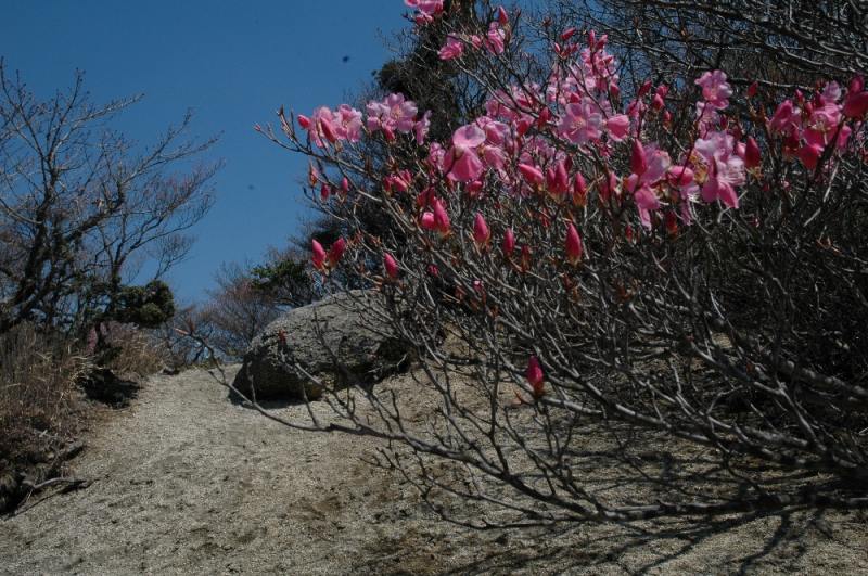 DSC_7067.jpg