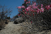 DSC_7067_thumb.jpg