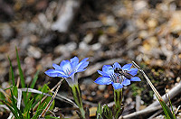 DSC_7092_thumb.jpg