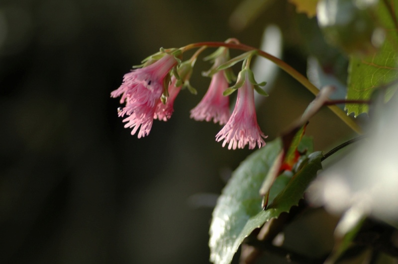 DSC_7492.jpg