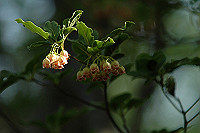 DSC_7551_thumb.jpg