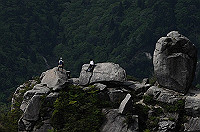 DSC_7958_thumb.jpg