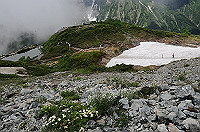 DSC_0674_thumb.jpg