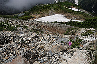 DSC_0686_thumb.jpg