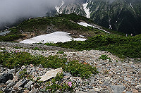 DSC_0689_thumb.jpg