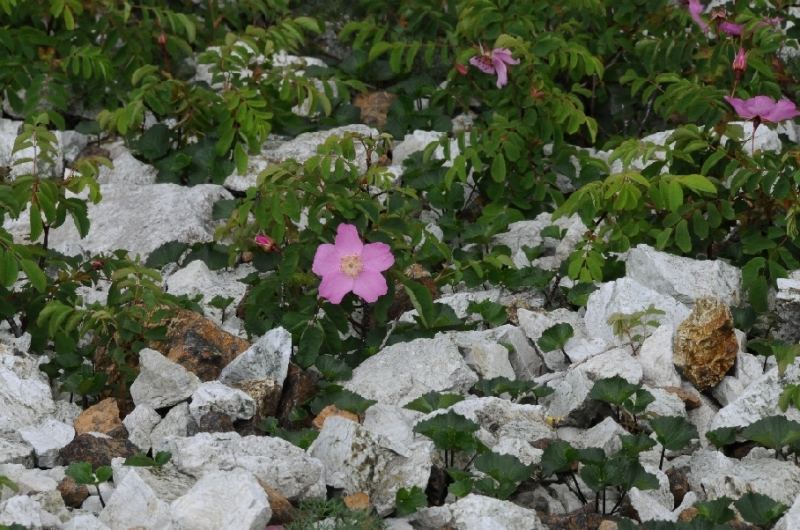DSC_0758.jpg