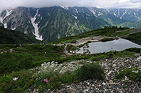 DSC_0760_thumb.jpg