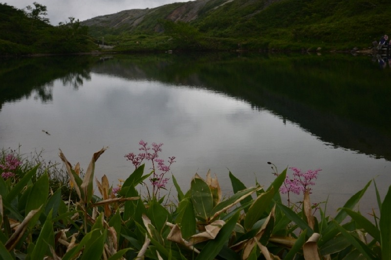 DSC_2368.jpg