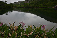 DSC_2368_thumb.jpg