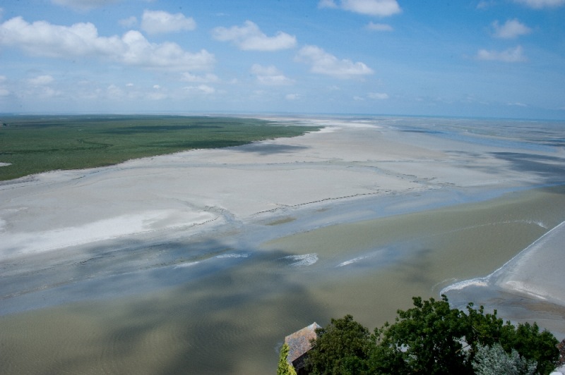 DSC_9658.jpg