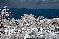 DSC_1429_thumb.jpg