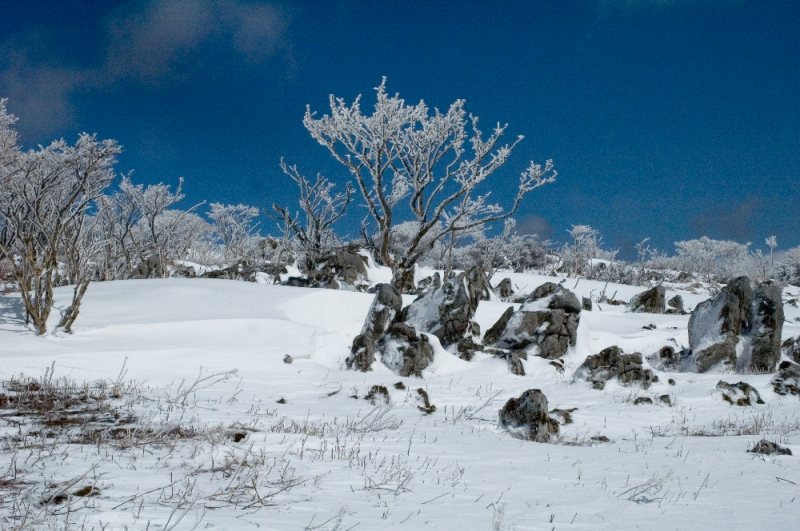 DSC_1463.jpg