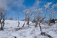 DSC_1469_thumb.jpg