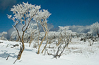 DSC_1473_thumb.jpg