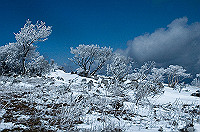 DSC_1475_thumb.jpg