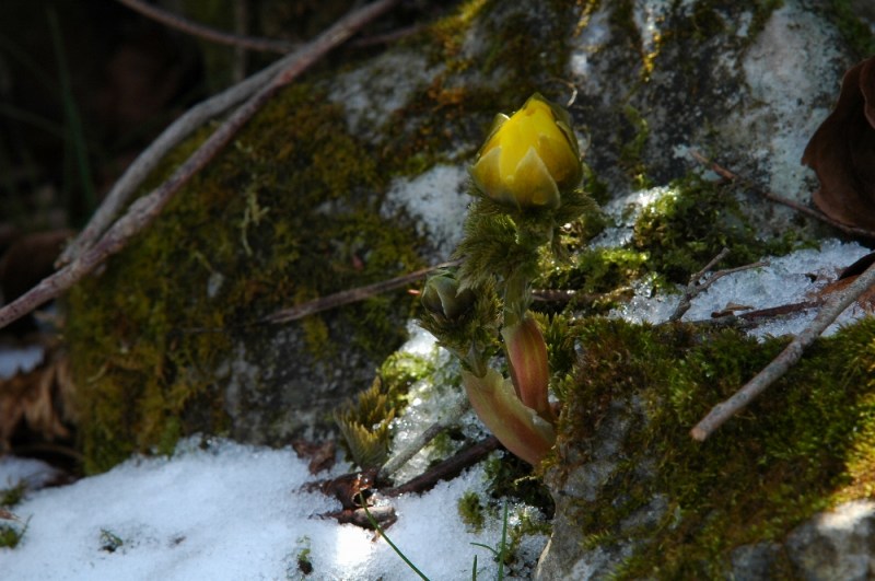 DSC_1245.jpg