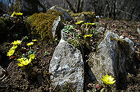 DSC_1432_thumb.jpg