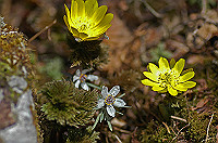 DSC_1498_thumb.jpg
